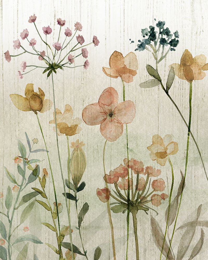Caderno de Flores Silvestres II — Finn, Livi