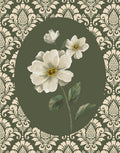 Renda Fina II — Nan