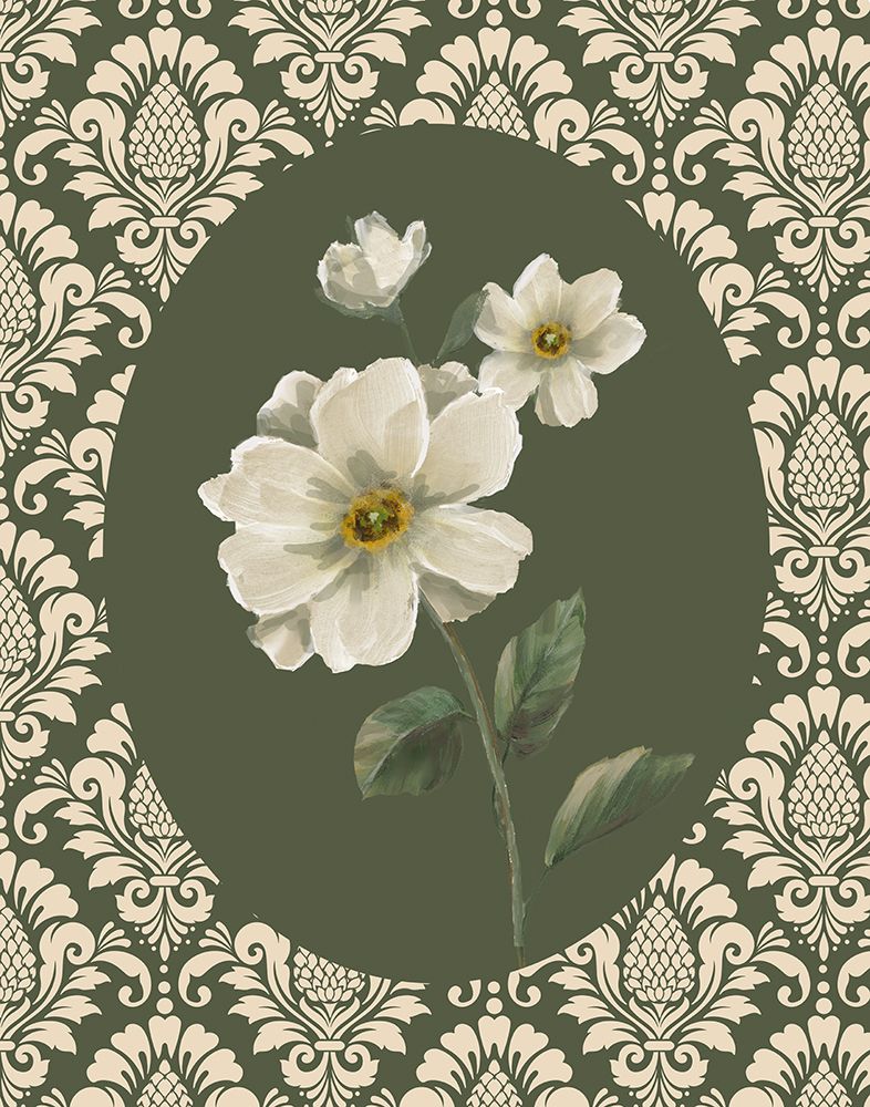 Renda Fina II — Nan
