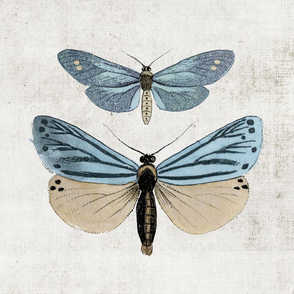 Noturno Azul II — Arnot, Susan
