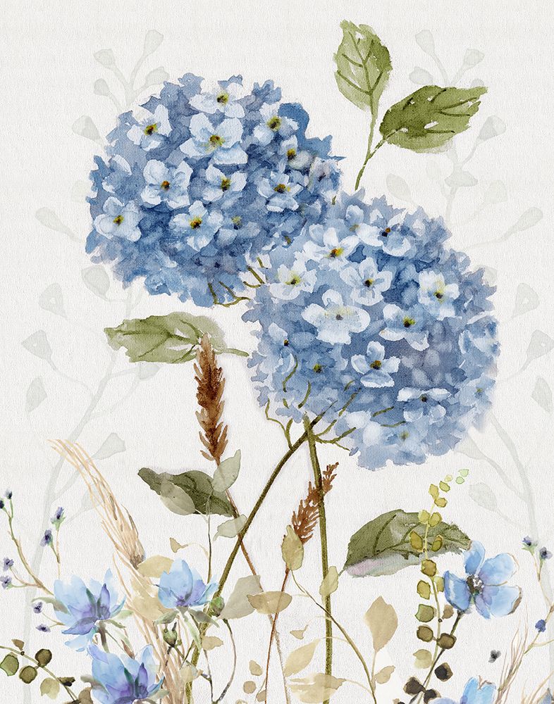 Fascínio de Hortênsia I — Nan
