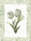 Tulipas Frescas I — Nan