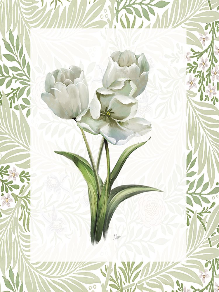 Tulipas Frescas II — Nan