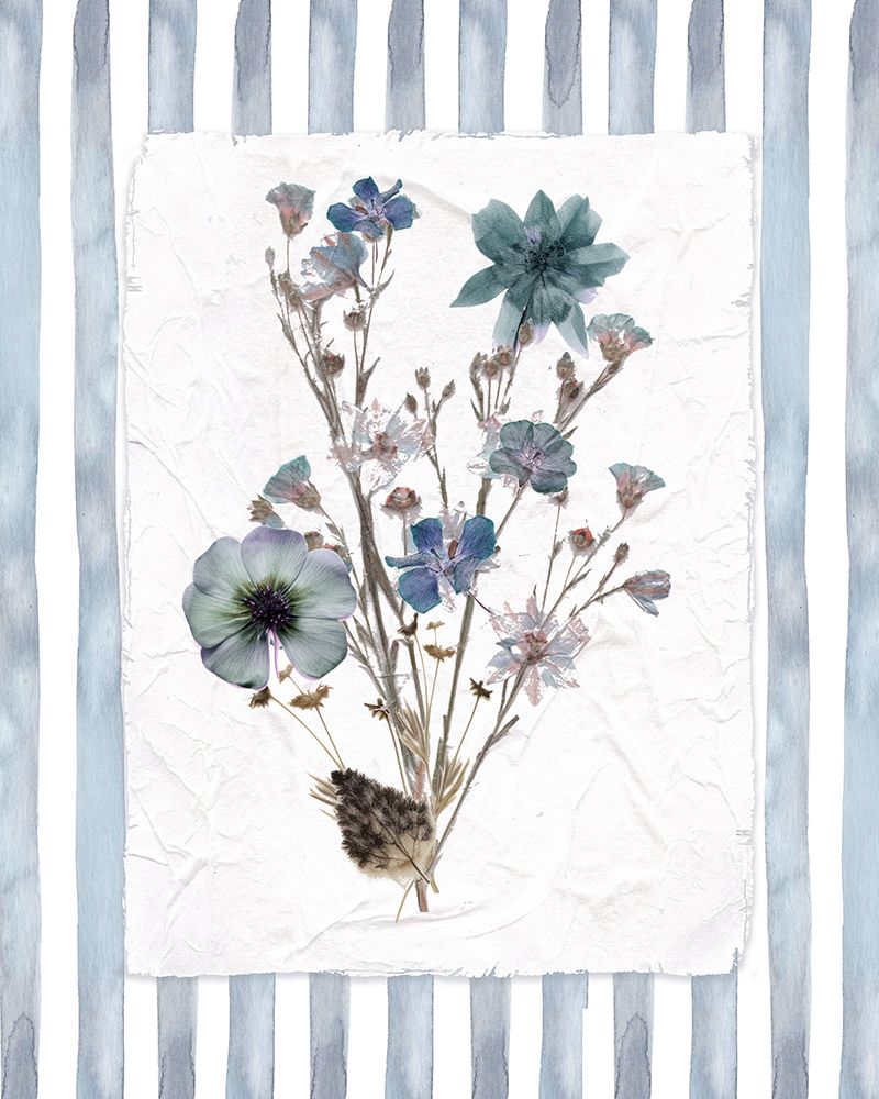 Flores Prensadas à Mão II — Robinson, Carol