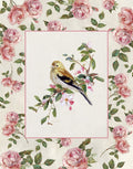 Canção da Primavera em Flor II — Swatland, Sally