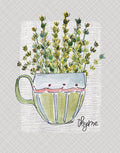 Ervas e Flores Silvestres 4 — tomilho — Finn, Livi