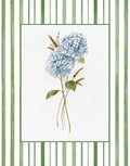 Hortênsia de Primavera I — Nan