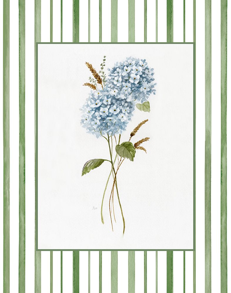 Hortênsia de Primavera I — Nan