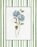 Hortênsia de Primavera II — Nan