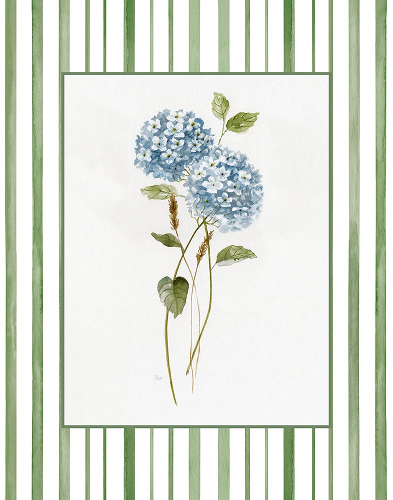 Hortênsia de Primavera II — Nan