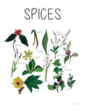 Especiarias — Robinson, Carol