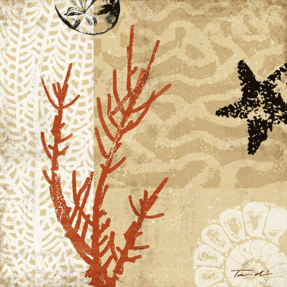 Impressões de Coral I — Venter, Tandi