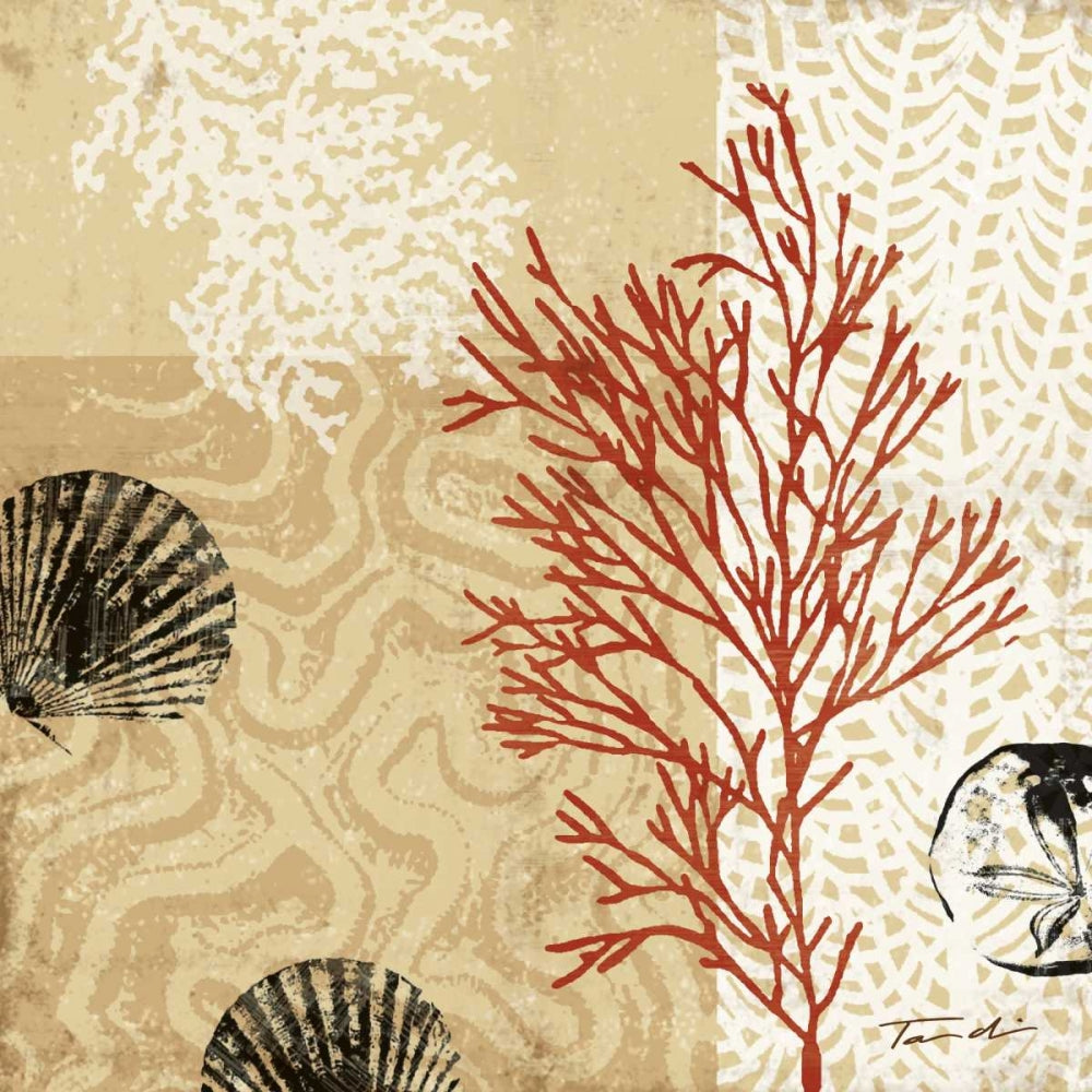 Impressões de Coral II — Venter, Tandi