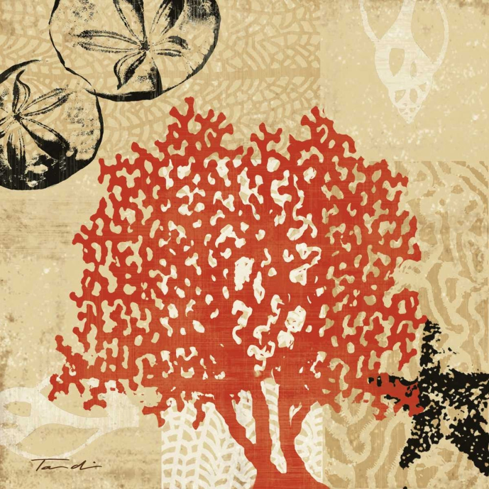 Impressões de Coral IV — Venter, Tandi