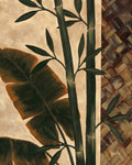 Flora Temperada — St. Amant, Yvette