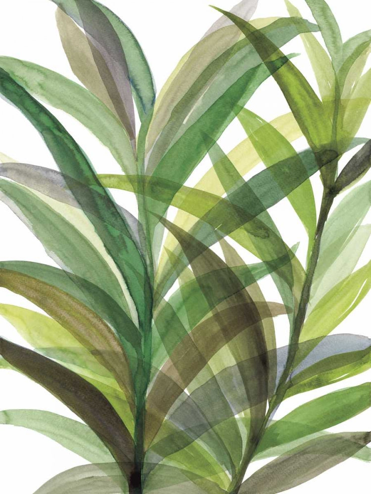Verdes Tropicais II I — Meyers, Rebecca