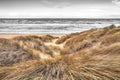 Dunas da Praia I — Frank, Assaf
