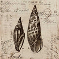 Coleção Oceano III — Berg, Sabine
