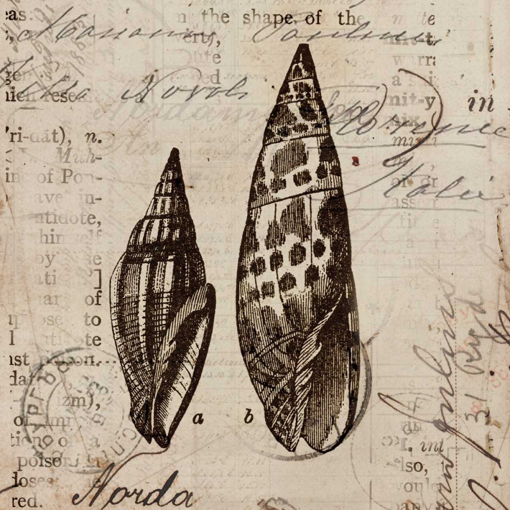 Coleção Oceano III — Berg, Sabine