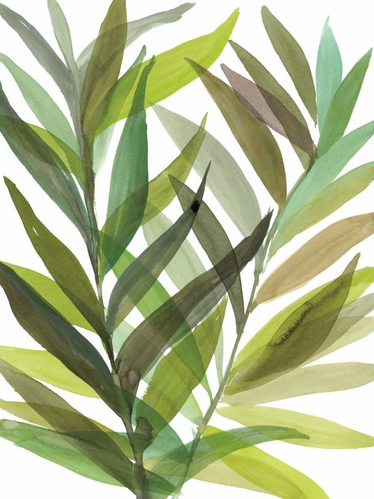 Verdes Tropicais I II — Meyers, Rebecca