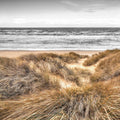 Dunas da Praia II — Frank, Assaf