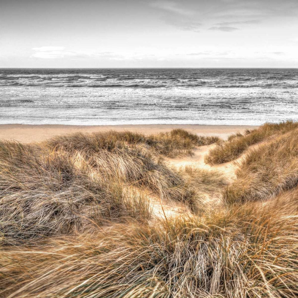 Dunas da Praia II — Frank, Assaf