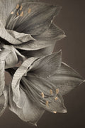 Grande Floral III — Frank, Assaf