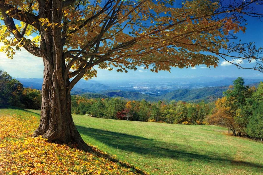 Beleza da Serra Azul — Jones, Mike