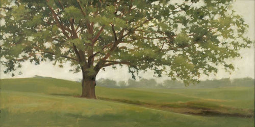 A Sabedoria Cresce II — Lightell, Megan