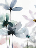 Flores Lúdicas I — Aria K