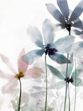 Flores Lúdicas II — Aria K