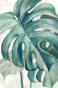 Sinfonia da Selva I — Black, Alex