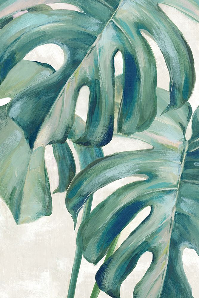 Sinfonia da Selva II — Black, Alex