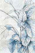 Harmonia Azul — Black, Alex
