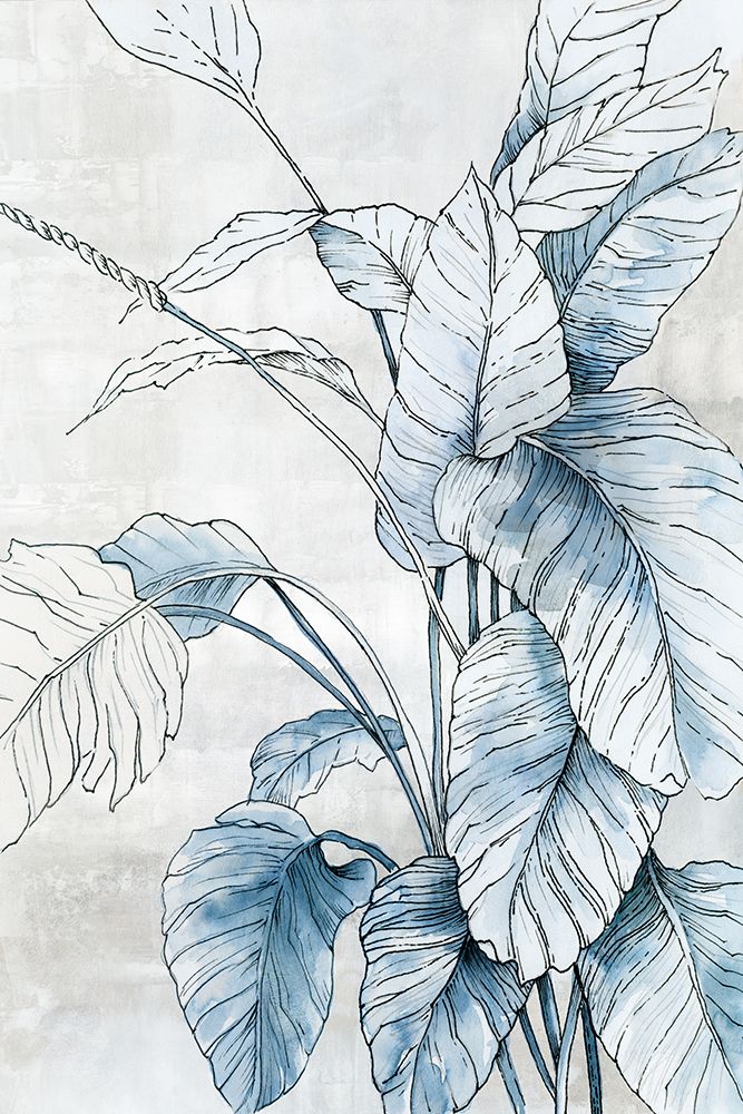 Harmonia Azul — Black, Alex