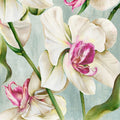 Orquídea Rosa — Black, Alex