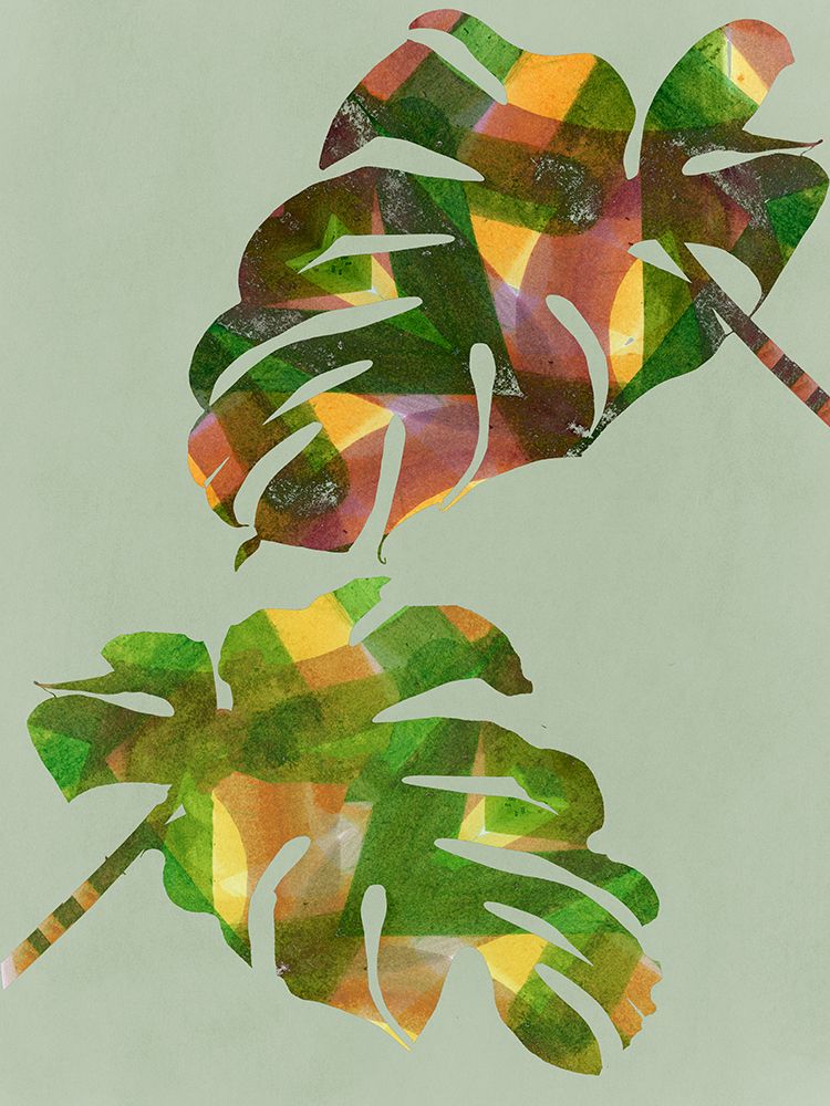Costela-de-Adão Tropical III — Project C