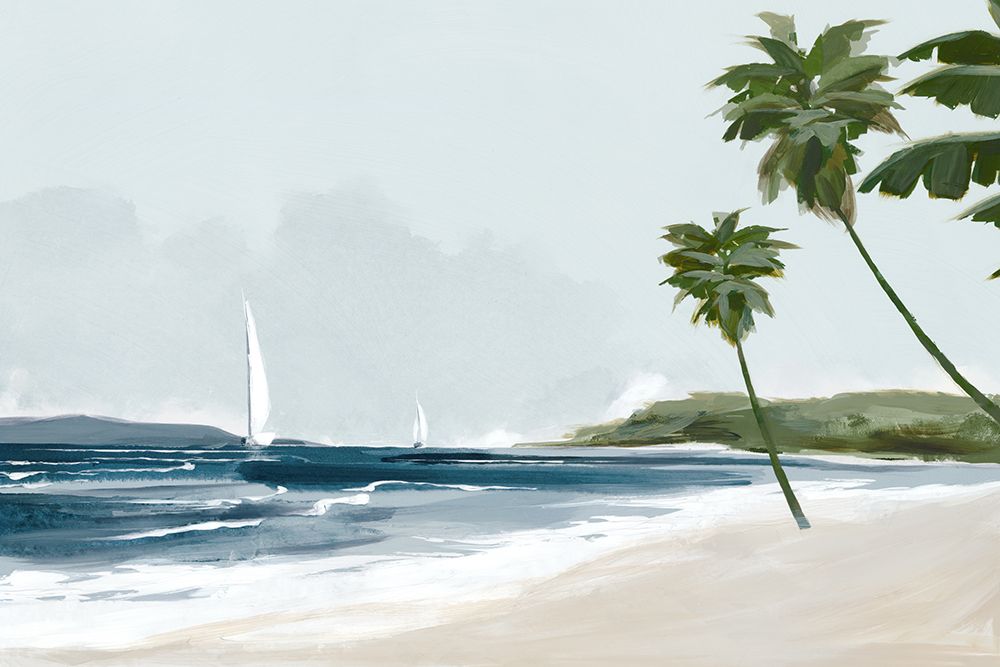 Praia Reservada de Palmeiras — Jacob Q