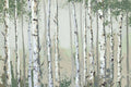 Bosque Verde de Bétulas — Jacob Q