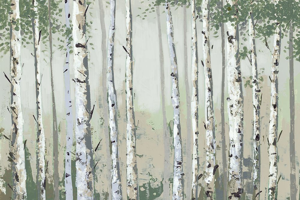Bosque Verde de Bétulas — Jacob Q