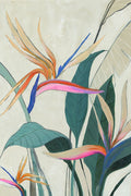Esplendor Tropical — Jacob Q