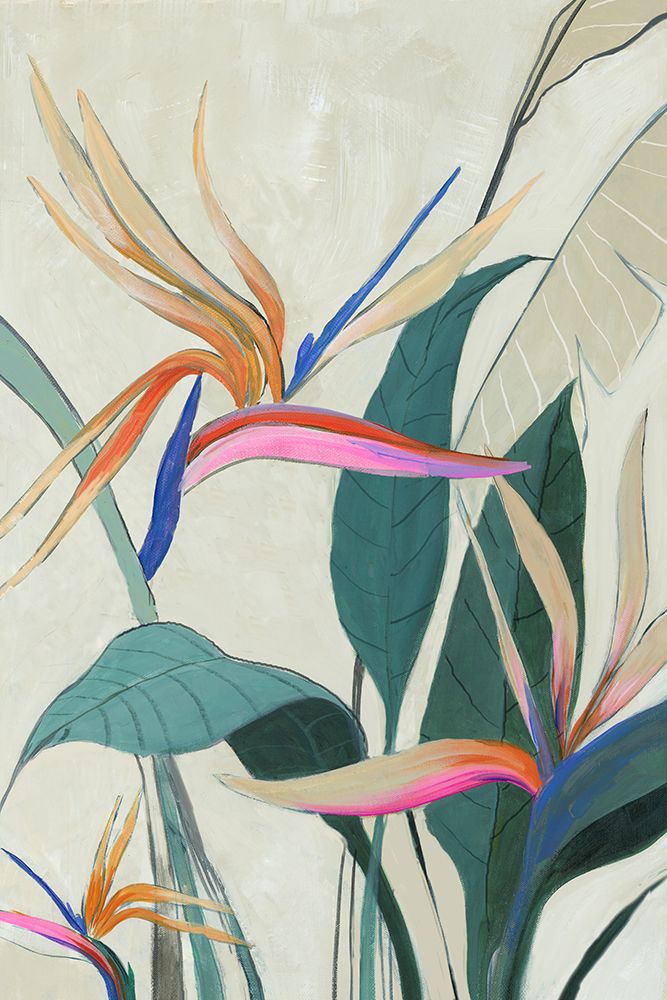 Esplendor Tropical — Jacob Q