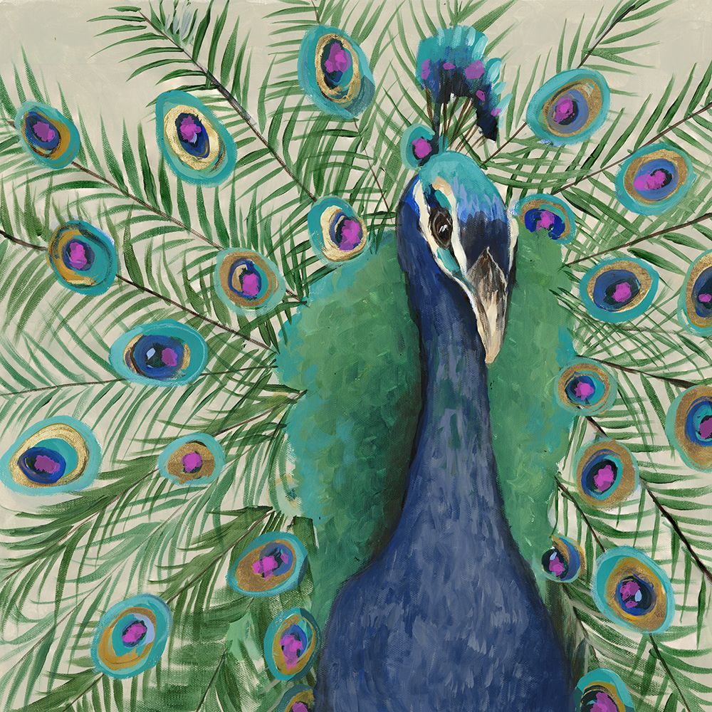 Pavão Penny — Jacob Q