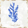 Mar Azul Coral — Watts, Eva