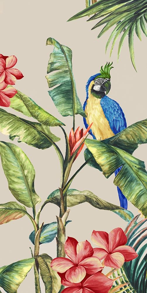 Tropicano II — Watts, Eva