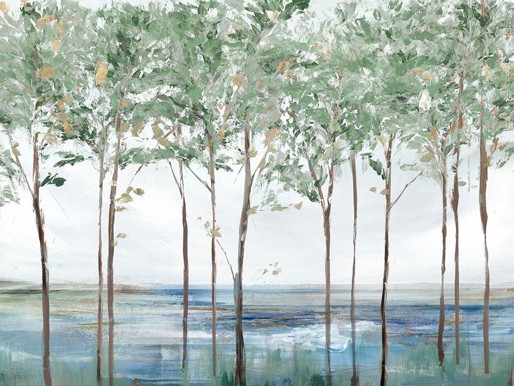 Pico da Floresta — Isabelle Z
