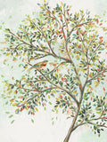 Árvore na Primavera I 1 — Isabelle Z