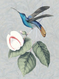Pássaro e Flor II — Smith, Karen