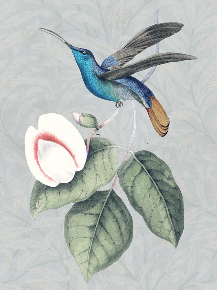 Pássaro e Flor II — Smith, Karen