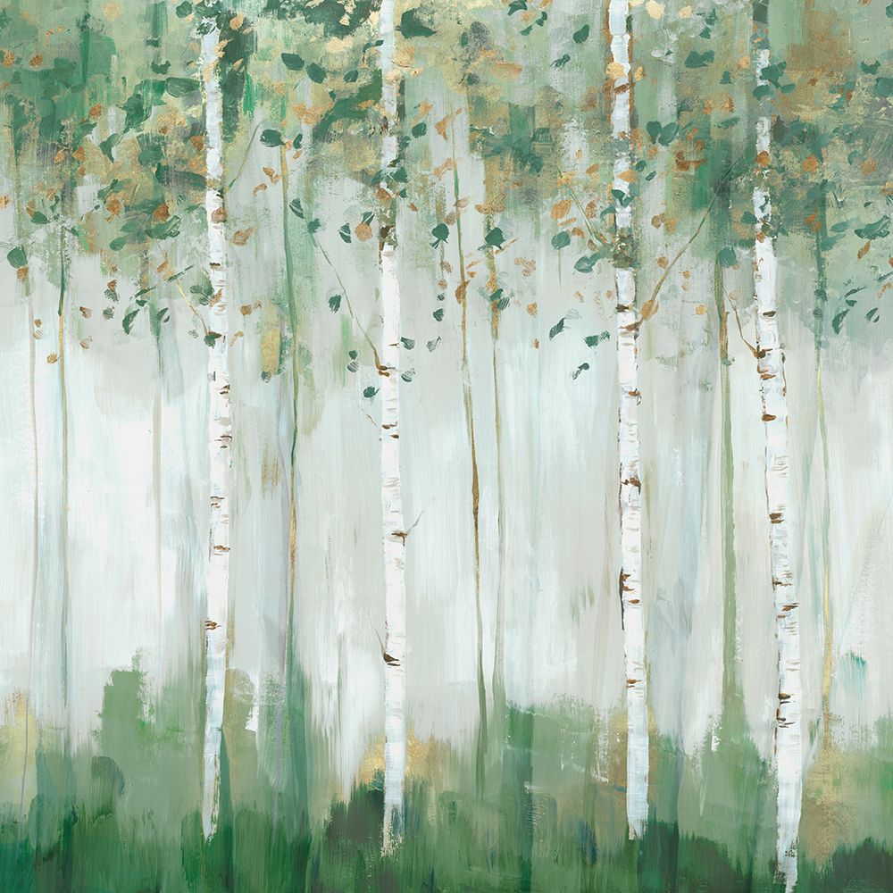 Bétula Verde Floresta — Ian C